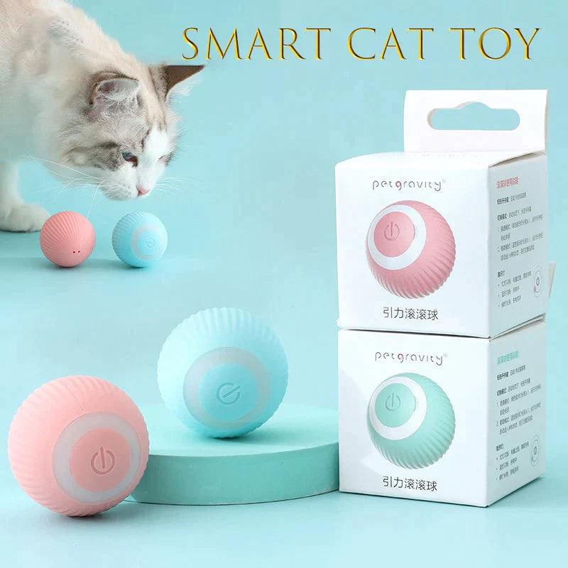 Bolinha interativa para gatos - Pimdukaofertas